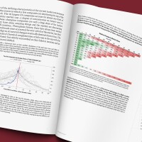 BW Thumbnail Burgundy The Life Cycle of Market Champions_June 2024.jpg