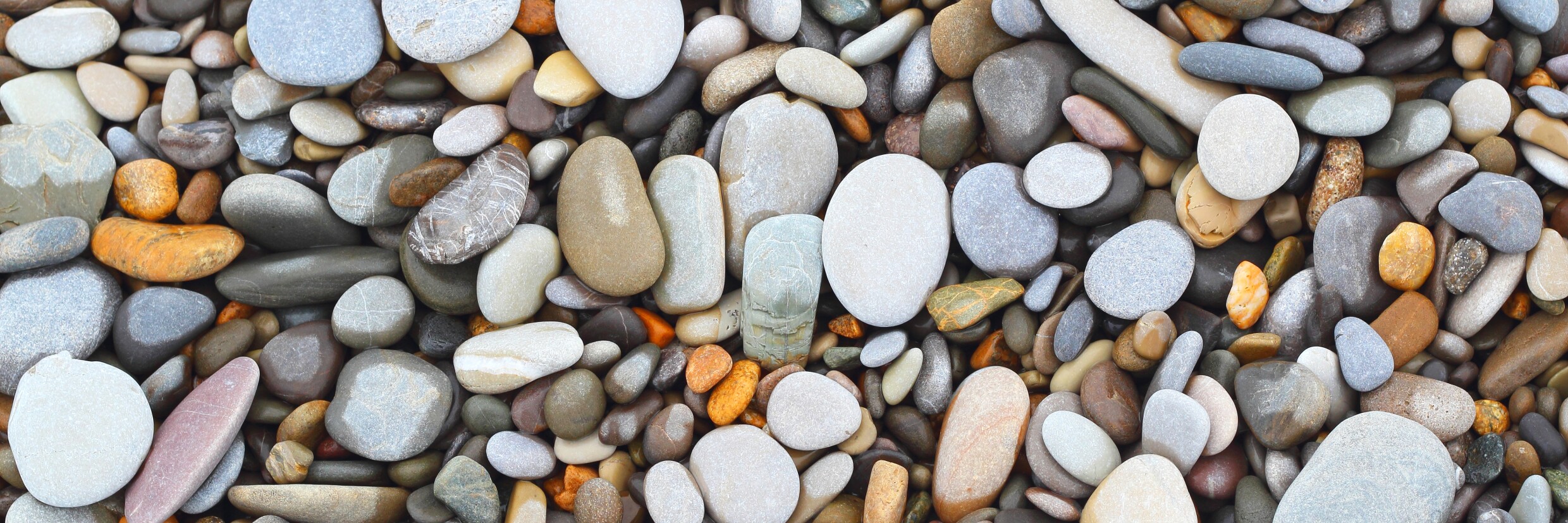 Diversity and Inclusion Homepage Promo Image