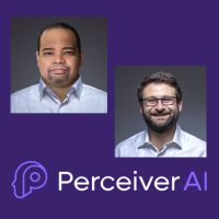 perceiverAI.png
