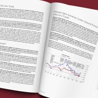 BW Thumbnail Burgundy The Transition to a Higher Cost of Capital_June 2024.jpg